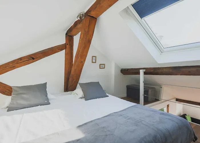 Flat - 2bdr-4p - Ile Stlouis Appartement *